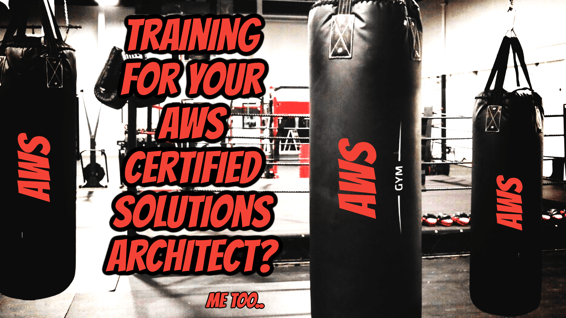 Training for your AWS Certified Solutions Architect?